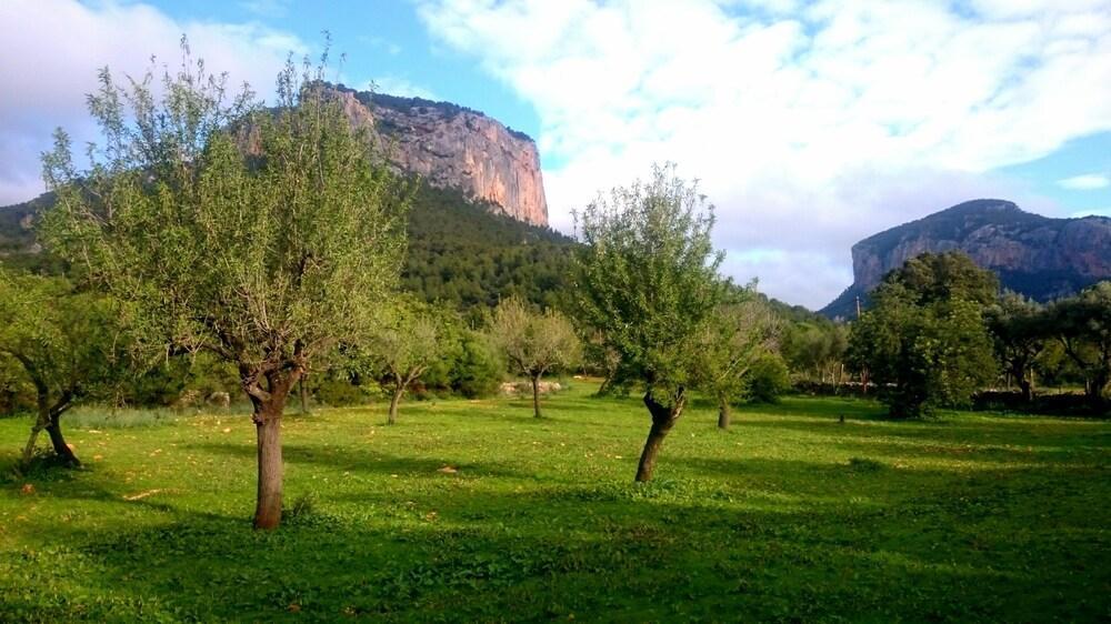 Orengar Hotel 4*